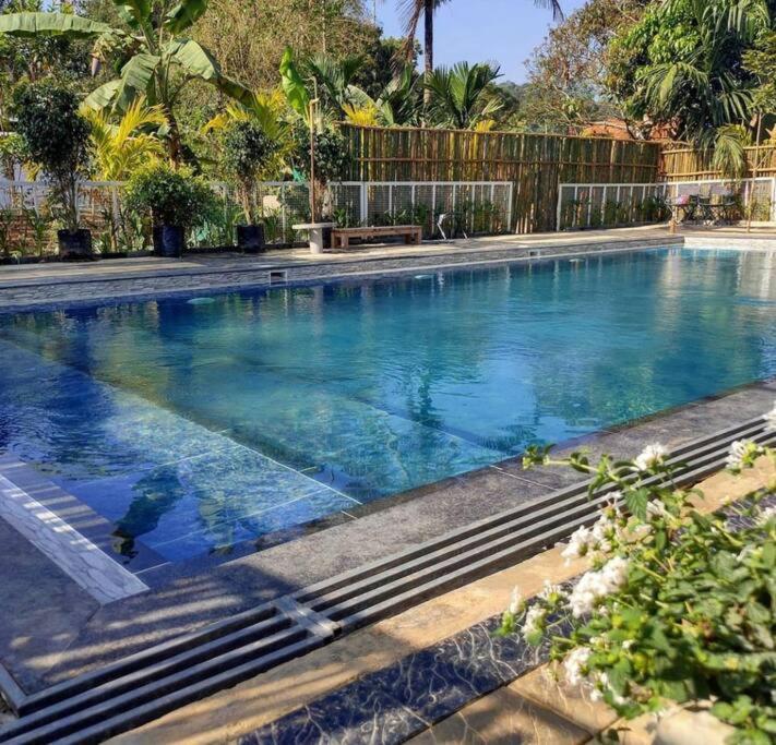 Ibiza Wonderland , Meppadi Wayanad Βίλα Εξωτερικό φωτογραφία